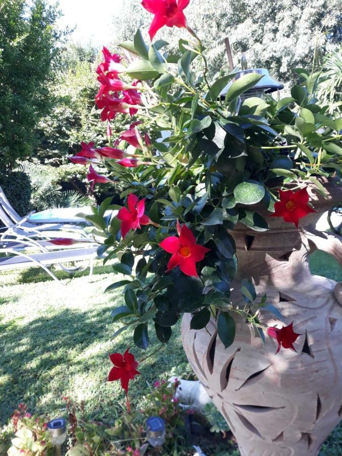 Holiday home Casa Belvedere *